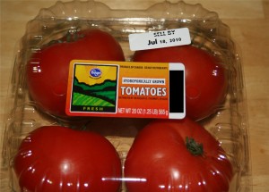 Hydroponic Tomatoes