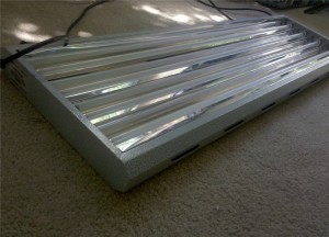 Fluorescent Grow Lamp