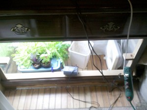 Build Grow Box